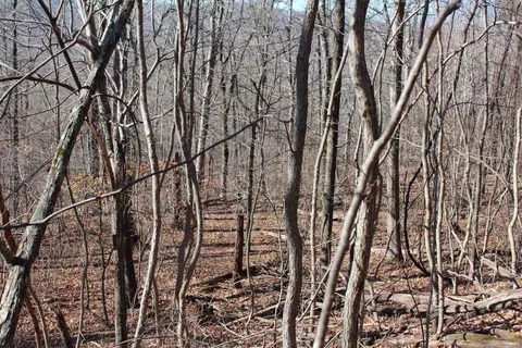 000 Possum Trot Rd, Compton, AR 72624 photo 16