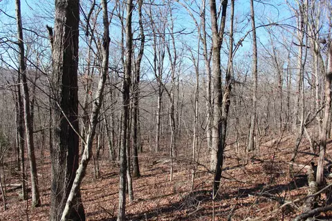 000 Possum Trot Rd, Compton, AR 72624 photo 19