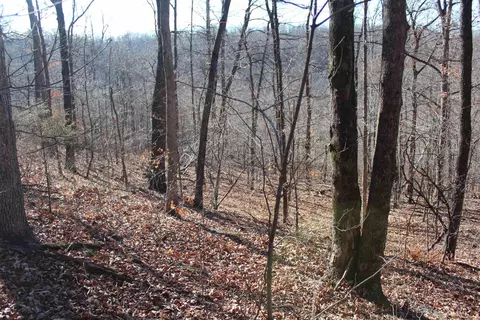000 Possum Trot Rd, Compton, AR 72624 photo 32