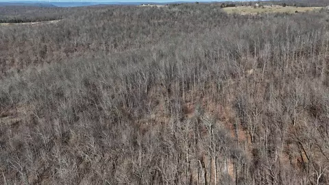000 Possum Trot Rd, Compton, AR 72624 photo 10