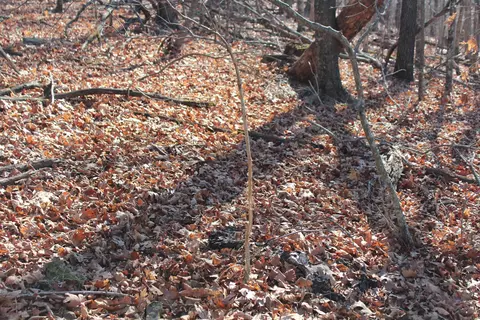 000 Possum Trot Rd, Compton, AR 72624 photo 14