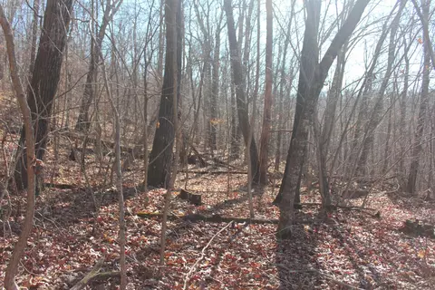 000 Possum Trot Rd, Compton, AR 72624 photo 17