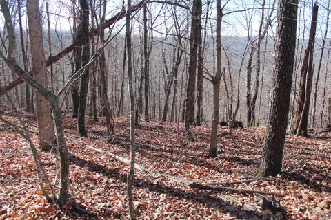 000 Possum Trot Rd, Compton, AR 72624 photo 13