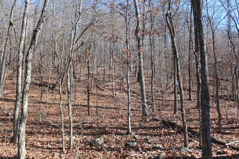 000 Possum Trot Rd, Compton, AR 72624 photo 27