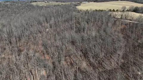000 Possum Trot Rd, Compton, AR 72624 photo 9