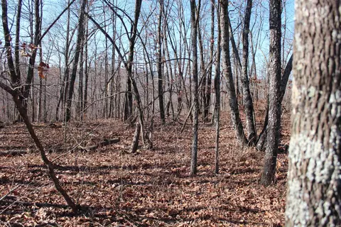 000 Possum Trot Rd, Compton, AR 72624 photo 35
