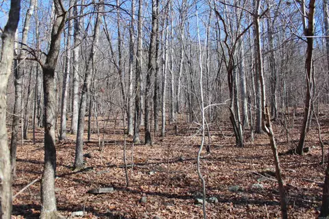 000 Possum Trot Rd, Compton, AR 72624 photo 23