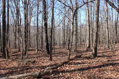 000 Possum Trot Rd, Compton, AR 72624 photo 34