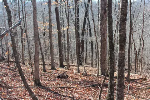 000 Possum Trot Rd, Compton, AR 72624 photo 15
