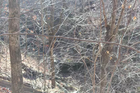 000 Possum Trot Rd, Compton, AR 72624 photo 24
