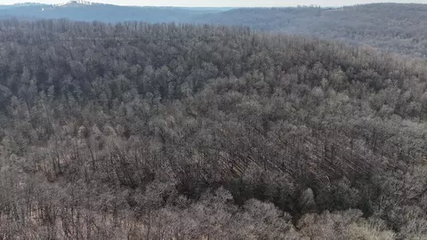 000 Possum Trot Rd, Compton, AR 72624 photo 3