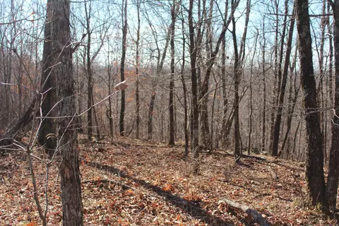 000 Possum Trot Rd, Compton, AR 72624 photo 12