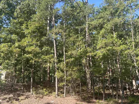 143 Viajero Dr, Hot Springs Village, AR 71909