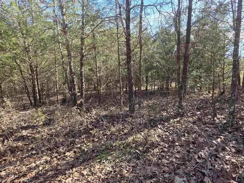 49 Meadow Brook Ln, Sage, AR 72556 photo 15