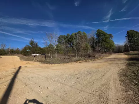 49 Meadow Brook Ln, Sage, AR 72556 photo 9
