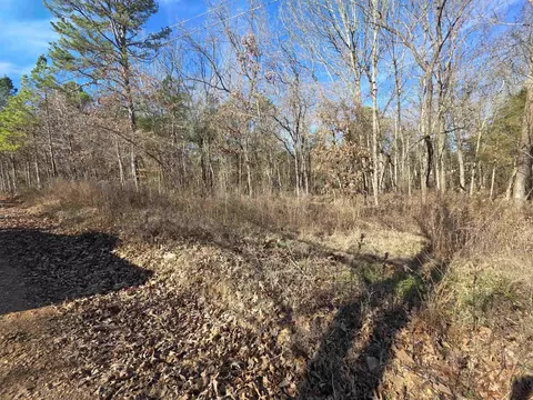49 Meadow Brook Ln, Sage, AR 72556 photo 2