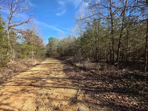 49 Meadow Brook Ln, Sage, AR 72556 photo 13