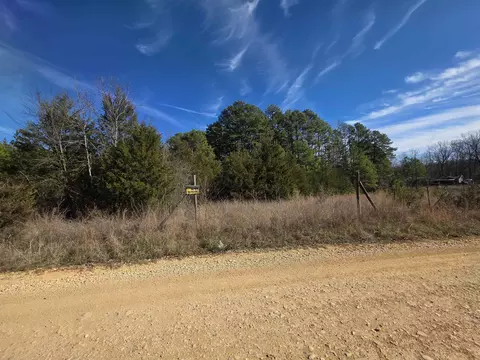 49 Meadow Brook Ln, Sage, AR 72556 photo 11
