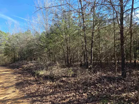 49 Meadow Brook Ln, Sage, AR 72556 photo 14