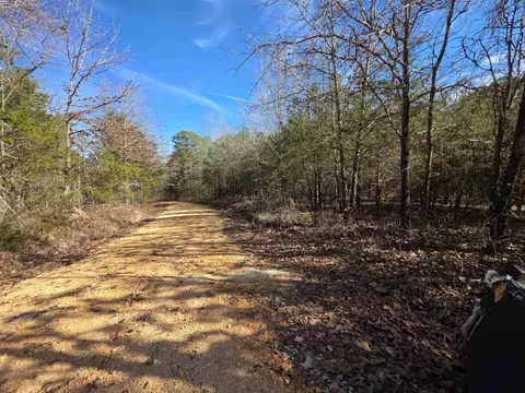 49 Meadow Brook Ln, Sage, AR 72556 photo 12