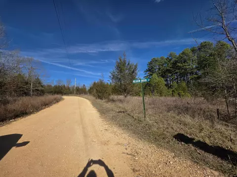49 Meadow Brook Ln, Sage, AR 72556 photo 6