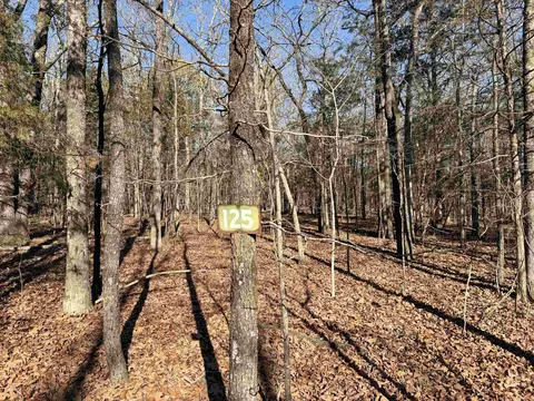 lot125 Tannenbaum Rd, Drasco, AR 72530
