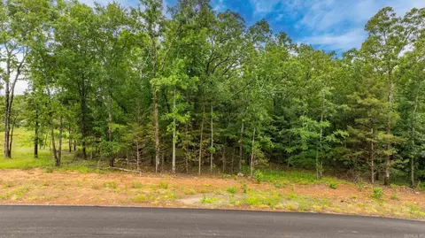 lot5 Hwy 65 Sky Eagle Dr, Greenbrier, AR 72058 photo 15
