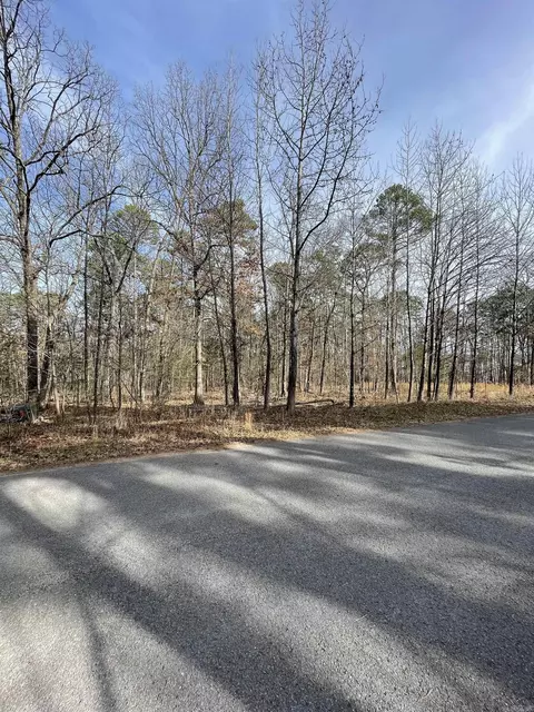 Silver Shores Lane, Drasco, AR 72530