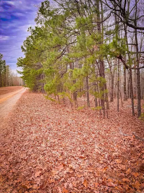 00 Heather Ridge Rd, Bigelow, AR 72016