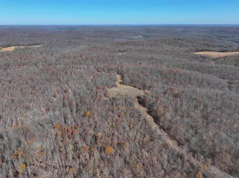566 Bethany, Ravenden, AR 72459 photo 4