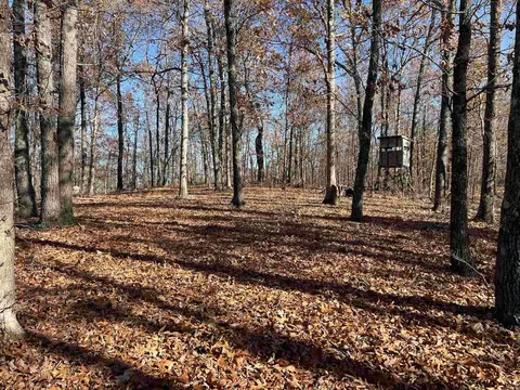 566 Bethany, Ravenden, AR 72459 photo 8