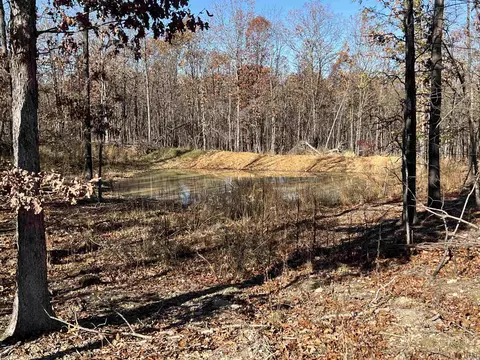 566 Bethany, Ravenden, AR 72459 photo 22