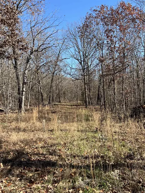 566 Bethany, Ravenden, AR 72459 photo 10