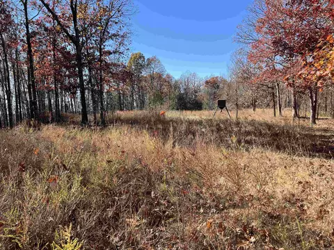566 Bethany, Ravenden, AR 72459 photo 19