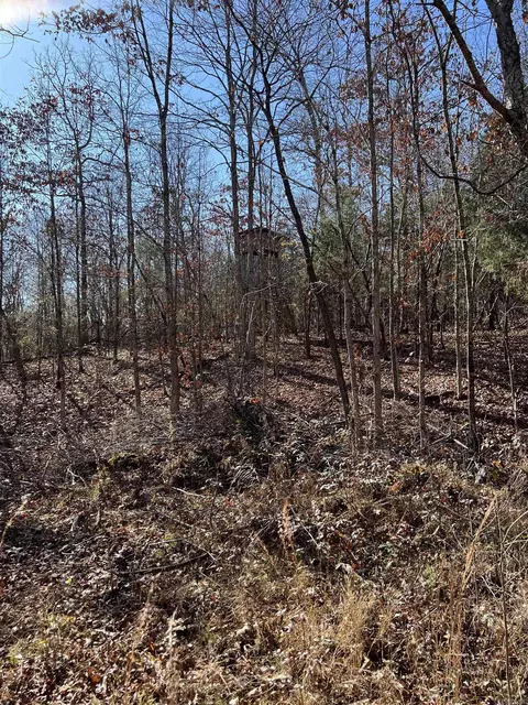 566 Bethany, Ravenden, AR 72459 photo 7