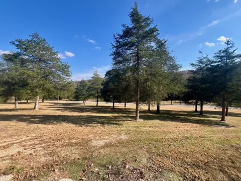 165 River Rd, Hardy, AR 72542 photo 4