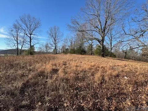 5705 Push Mountain Rd, Norfork, AR 72658 photo 8
