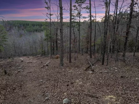 000 Timberline Dr, Leslie, AR 72645 photo 2