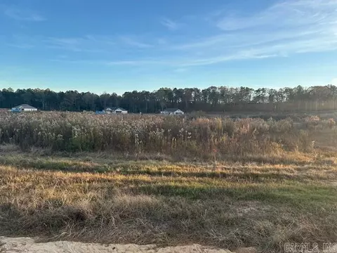 1017 Duke Dr, Bauxite, AR 72011