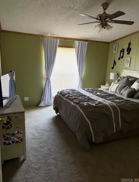 301 Birch St, Mount Ida, AR 71957 photo 9