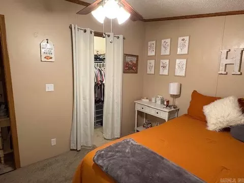 301 Birch St, Mount Ida, AR 71957 photo 12
