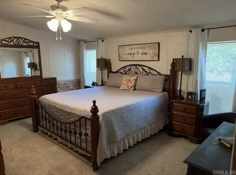 301 Birch St, Mount Ida, AR 71957 photo 18