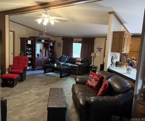 301 Birch St, Mount Ida, AR 71957 photo 4
