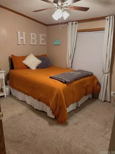 301 Birch St, Mount Ida, AR 71957 photo 13