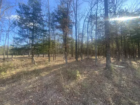 000 Fox Run Rd, Greers Ferry, AR 72067