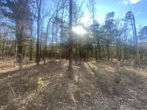 00 Red Fox Rd, Greers Ferry, AR 72067 photo 3