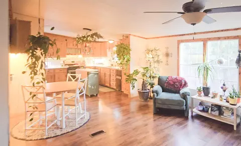 459 Junction Rd, Mountain View, AR 72560 photo 11