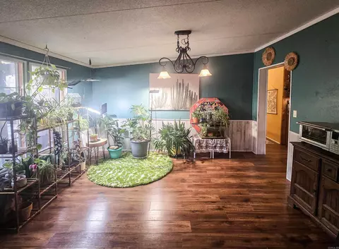 459 Junction Rd, Mountain View, AR 72560 photo 6