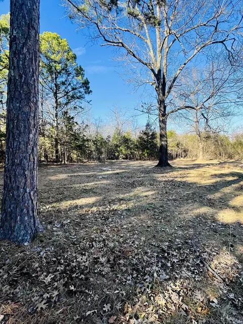 4300 Norfolk River Rd, Jordan, AR 72519 photo 23