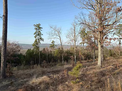 21216 Valley View Cv, Roland, AR 72135